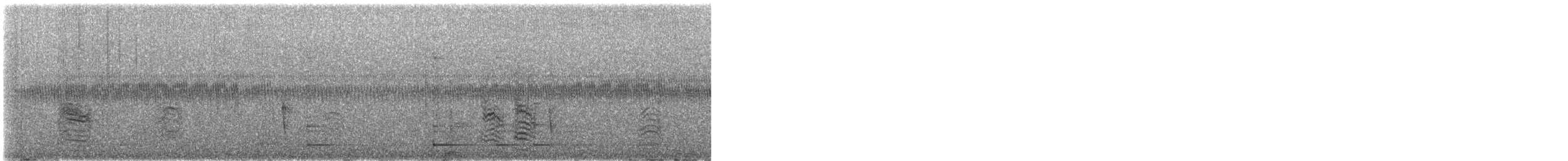 Black-vented Oriole - ML646775405