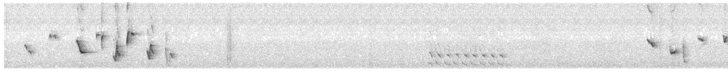 Noisy Scrub-bird - ML646775919