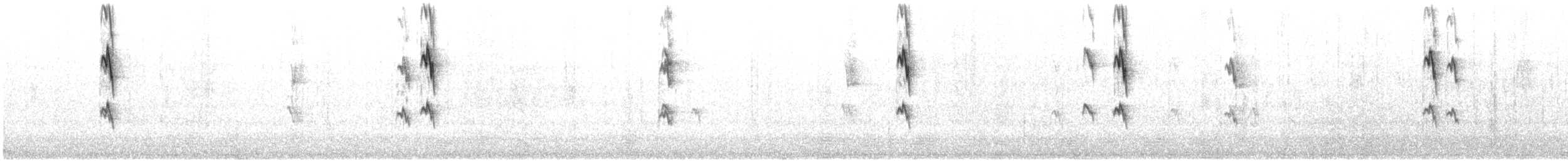 White-cheeked Honeyeater - ML646776036