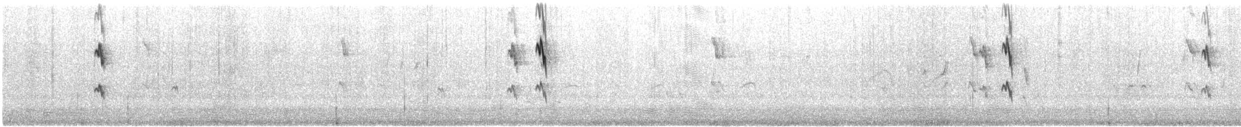 White-cheeked Honeyeater - ML646776039