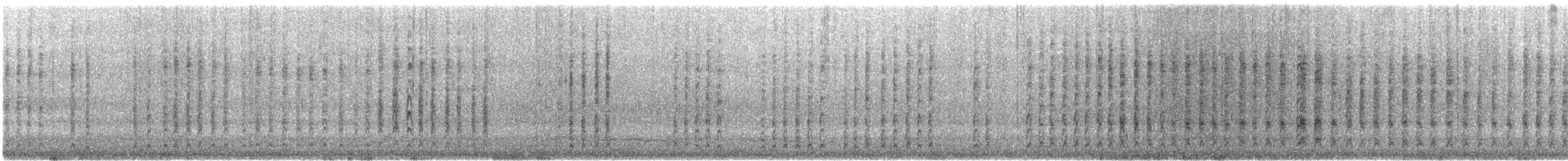 White-cheeked Honeyeater - ML646776040