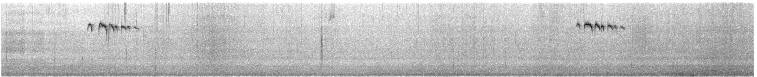 Southern Emuwren - ML646776044