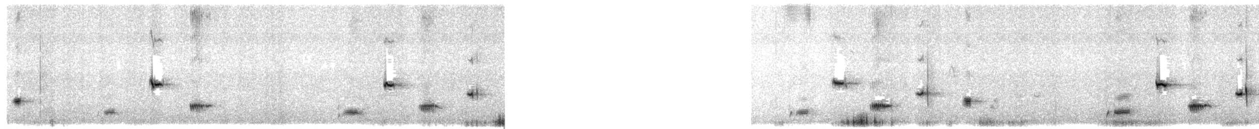 Western Whipbird (Black-throated) - ML646776046