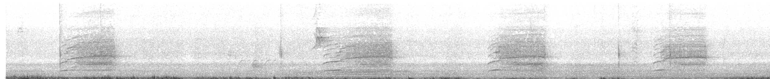 Red-tailed Black-Cockatoo - ML646776106