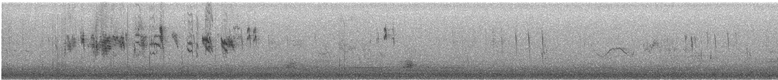 Tree Swallow - ML646776164