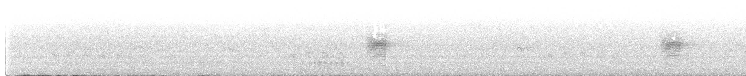 Leaden/Satin Flycatcher - ML646776253