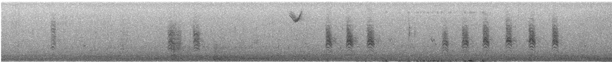 passerine sp. - ML646776254