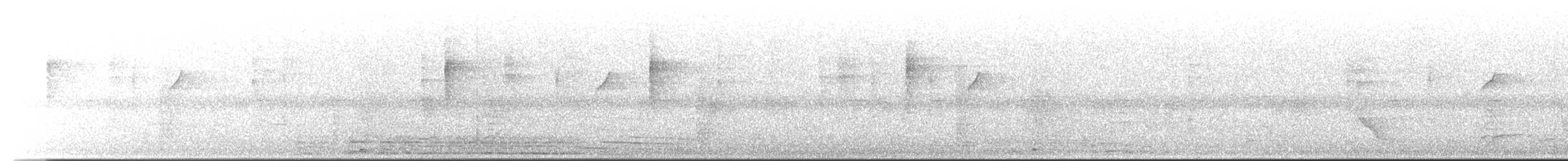 White-winged Tanager - ML646776267