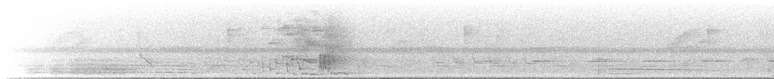 Montezuma Oropendola - ML646776276