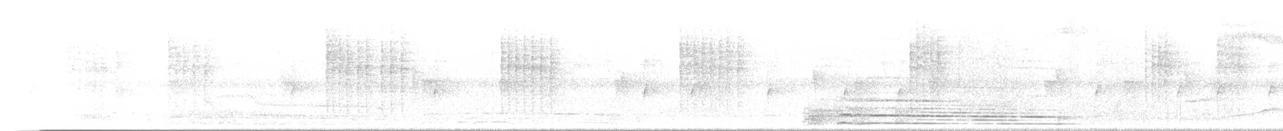 White-breasted Wood-Wren - ML646776600