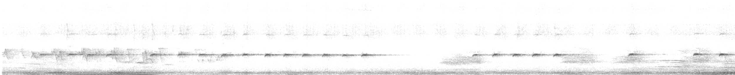 White-throated Treecreeper (White-throated) - ML646777369