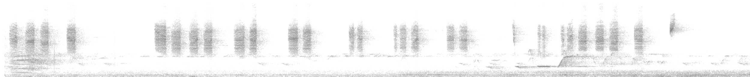 White-browed Scrubwren (White-browed) - ML646777371