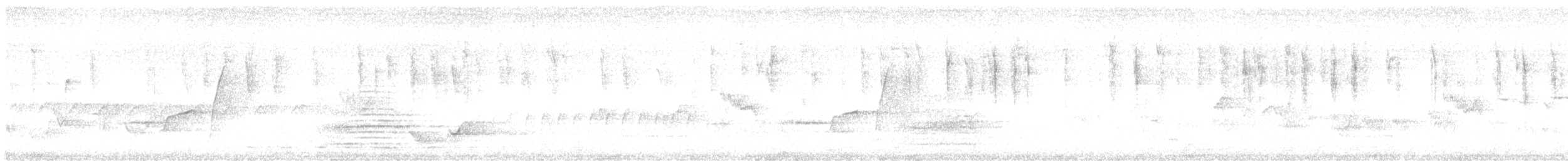 Striated Thornbill - ML646777372