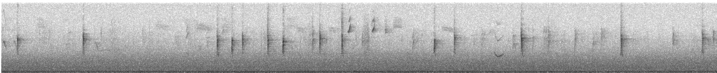 キヅタアメリカムシクイ - ML646777929