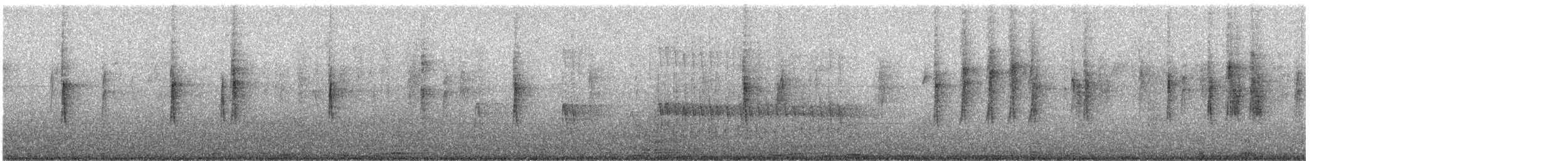 シロハラシマアカゲラ - ML646777931