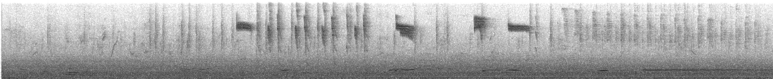 アレンハチドリ - ML646777934