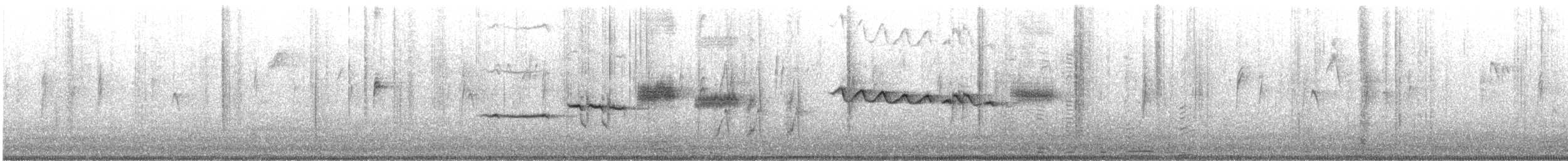 White-crowned Sparrow - ML646777937