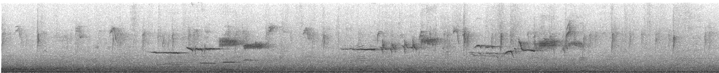 White-crowned Sparrow - ML646777938