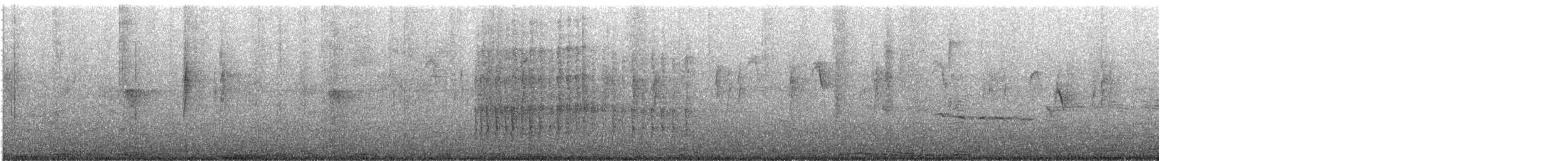 Belted Kingfisher - ML646777941