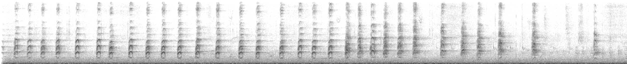 Black-necked Stilt - ML646777943