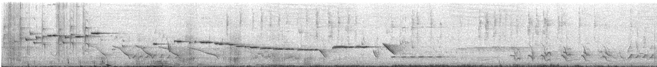 White-throated Gerygone - ML646777992