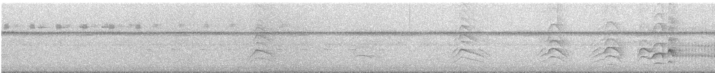 Great Kiskadee - ML646778050