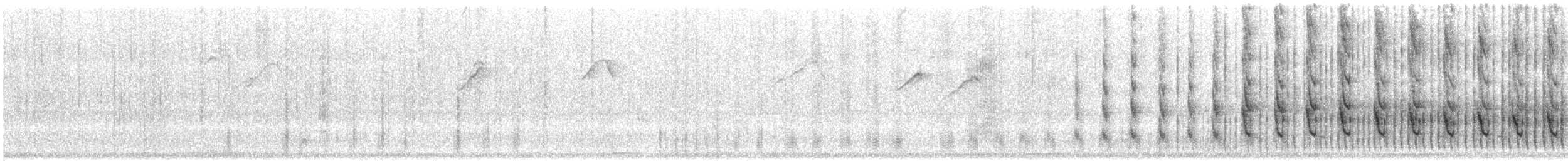 Rufous Cacholote - ML646778070