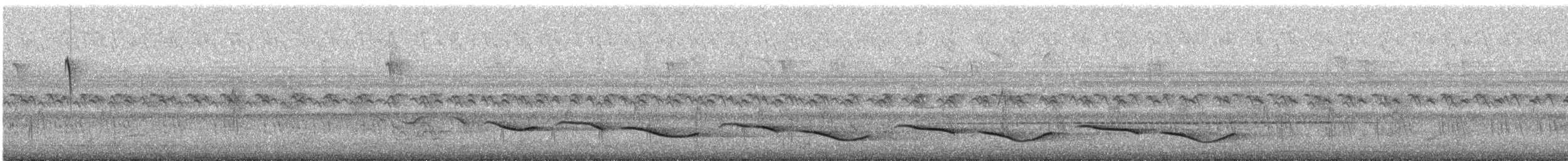 Black-crowned Tchagra (Black-crowned) - ML646778181