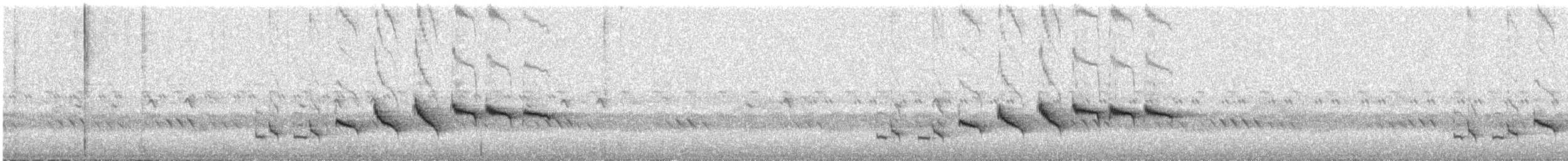 White-browed Scrub-Robin (Red-backed) - ML646778195