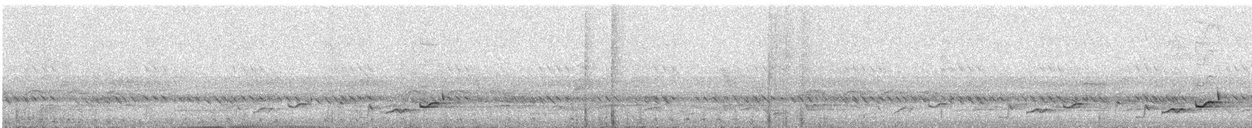 White-browed Robin-Chat - ML646778220