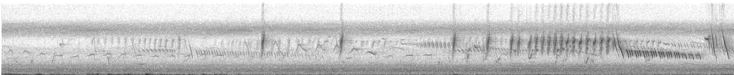 Tawny Grassbird - ML646778349