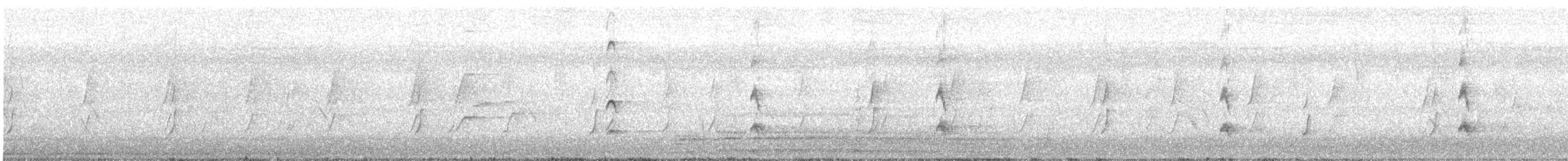 Dusky Moorhen - ML646778350