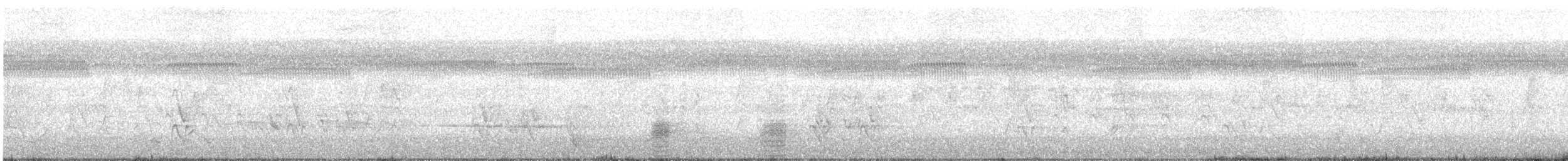 Pacific Black Duck - ML646778351