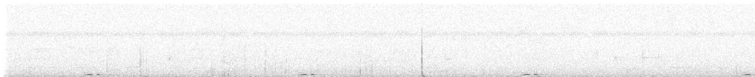 Amazon Motmotu - ML646778655