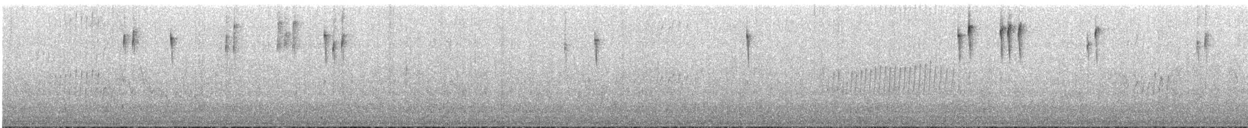 perlestammeløper - ML646779603