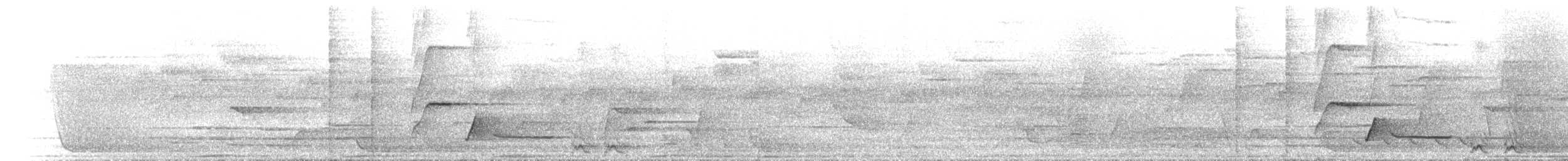 Bower's Shrikethrush - ML646779737