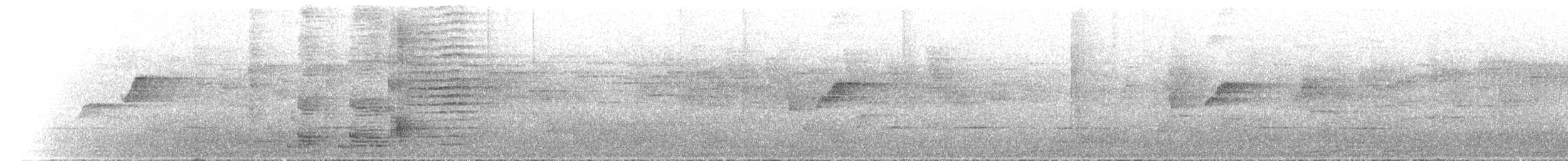 brokadedrongo - ML646779757