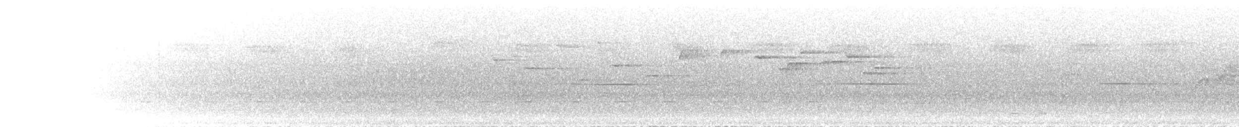 Northielle des fougères - ML646779760