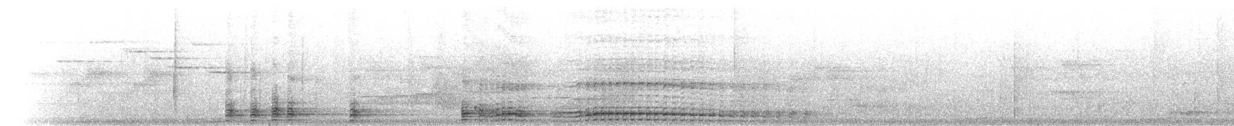 Mégapode de Reinwardt - ML646779770