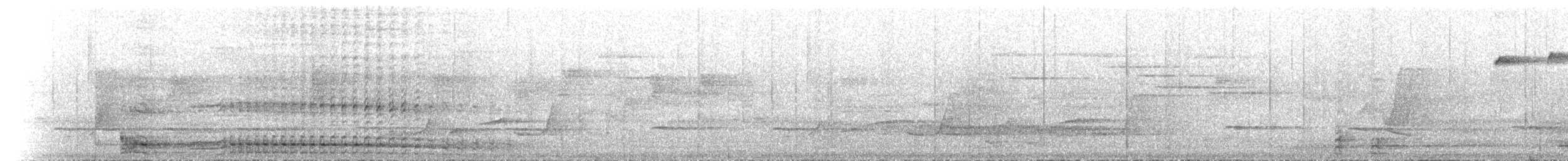 Mégapode de Reinwardt - ML646779776