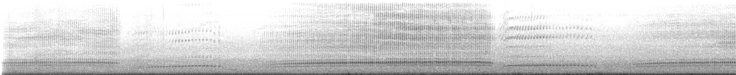 Manchot pygmée - ML646779777