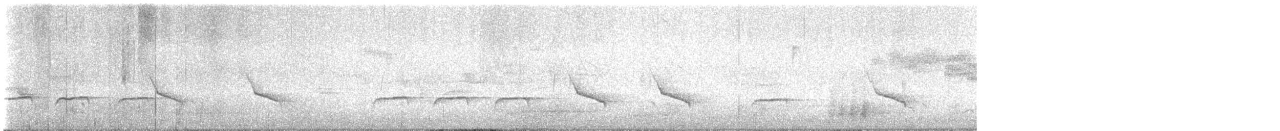 spettmeis (europaea gr.) - ML646780070