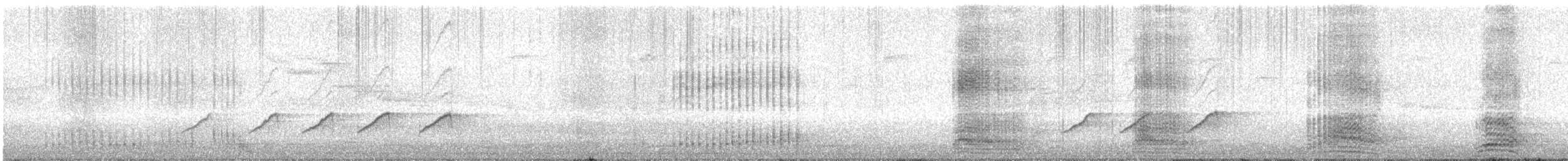 Обыкновенный поползень (группа europaea) - ML646780235