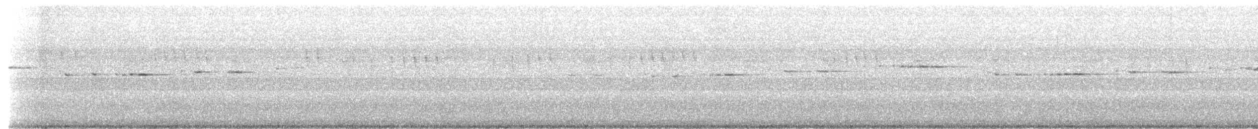 Spotted Elachura - ML646780834