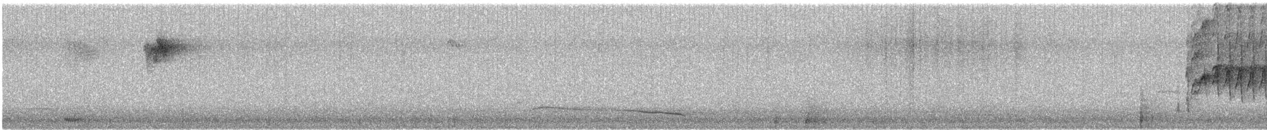 Eurasian Blackbird - ML646780853