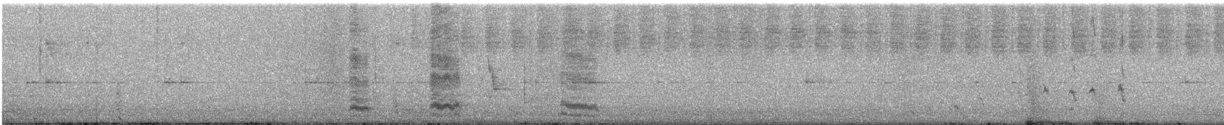 Australian Magpie (Western) - ML646780990