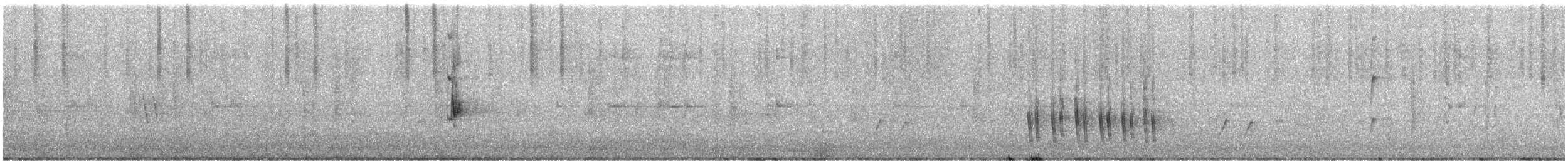 Brown Honeyeater - ML646780992