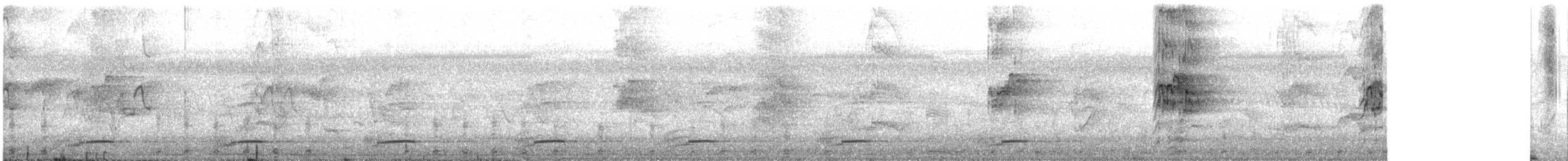 Channel-billed Cuckoo - ML646781093