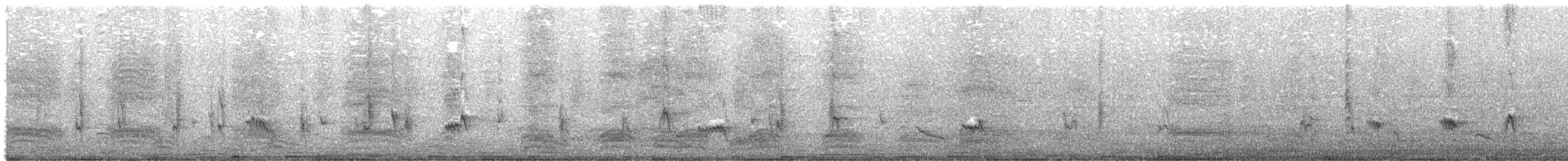 White-bellied Drongo (White-vented) - ML646781555