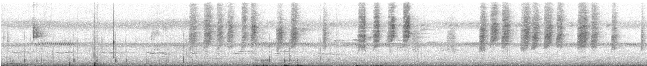 Sedosito Cejiblanco - ML646781634